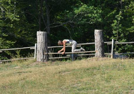 Davide